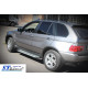 Бічні труби Special (2 шт., нерж) для BMW X5 E-53 1999-2006 рр