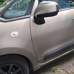 Обведення поворотника Carmos (2 шт., нерж.) для Citroen C-3 Picasso 2010-2017рр