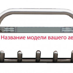 Кенгурятник WT004 (нерж) для Hyundai H200, H1, Starex 1998-2007 рр