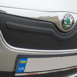 Зимова накладка на решітку (2011-2014, верхня) Матова для Skoda Fabia рр