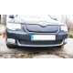 Зимова накладка на решітку (Верхня, 2008-2013) Матова для Skoda Superb рр