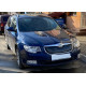 Зимова накладка на решітку (Верхня, 2008-2013) Матова для Skoda Superb рр