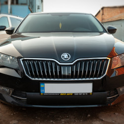 Зимова накладка на решітку (нижня) Матова для Skoda Superb 2016-2024 рр