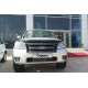 Дефлектор капота EuroCap (2009-2011) для Ford Ranger рр