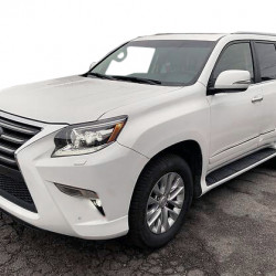 Передні протитуманні фари (рестайлінг, 2 шт) для Lexus GX460