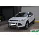 Кенгурятник WT003 (нерж.) для Ford Kuga/Escape 2013-2019 рр