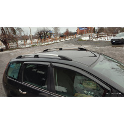 Рейлінги Хром Пластикові ніжки для Ford C-Max 2004-2010 рр