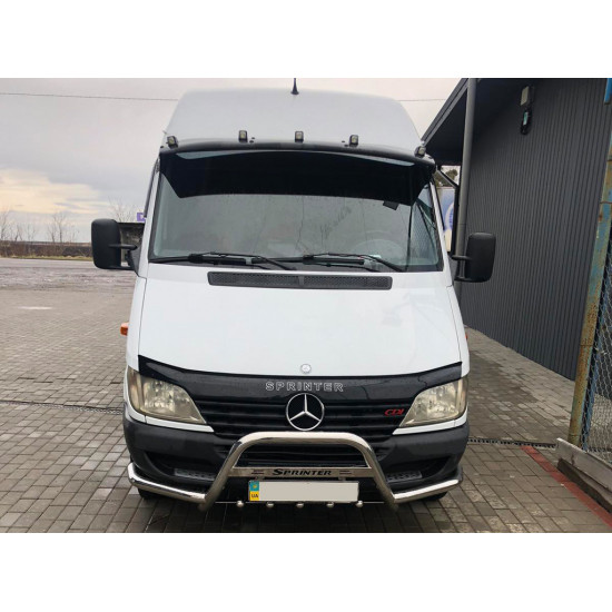 Кенгурятник з вусами (нерж.) для Mercedes Sprinter W901-905 1995-2006 рр