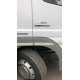 Накладки на ручки (2 шт, нерж) Carmos - Турецька сталь для Mercedes Atego Накладки на ручки (2 шт, нерж) Carmos - Турецька сталь для Mercedes Atego