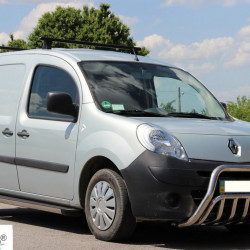 Кенгурятник WT002 (нерж.) для Renault Kangoo 2008-2020 рр