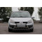 Кенгурятник WT004 (нерж.) для Renault Scenic/Grand 2003-2009 рр