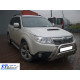 Кенгурятник WT002 (нерж.) для Subaru Forester 2008-2013 рр