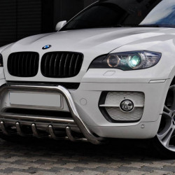 Кенгурятник WT003 (нерж.) 60мм для BMW X6 E-71 2008-2014рр