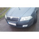 Зимова накладка на решітку (верхня) Матова для Skoda Octavia II A5 2006-2010рр