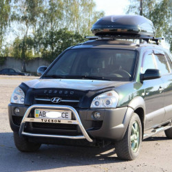 Кенгурятник WT025 (нерж.) для Hyundai Tucson JM 2004-2024 рр