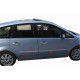 Молдинг дверний (4 шт, нерж.) Carmos - Турецька сталь для Ford C-Max 2004-2010 рр