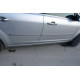 Молдинг дверний (4 шт, нерж.) Carmos - Турецька сталь для Ford C-Max 2004-2010 рр