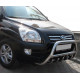 Кенгурятник WT003 (нерж.) для Kia Sportage 2004-2010 рр