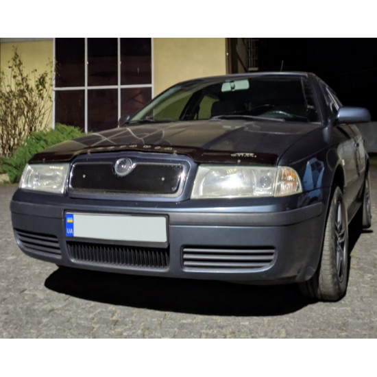 Зимова решітка (верхня) матова для Skoda Octavia I Tour A4 1996-2010