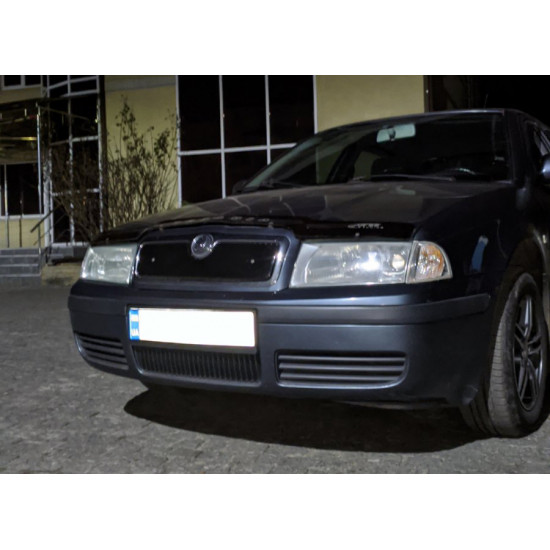 Зимова решітка (верхня) матова для Skoda Octavia I Tour A4 1996-2010