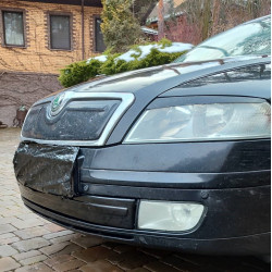 Зимова накладка на решітку (нижня) Матова для Skoda Octavia II A5 2006-2010рр